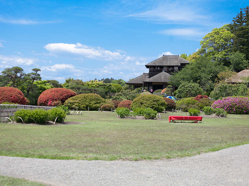 坂本龍馬象